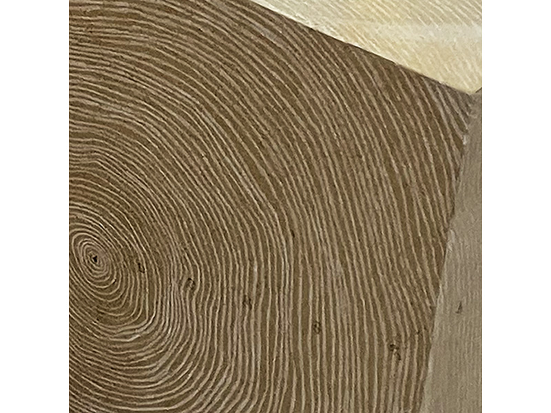 object subject close-up 1